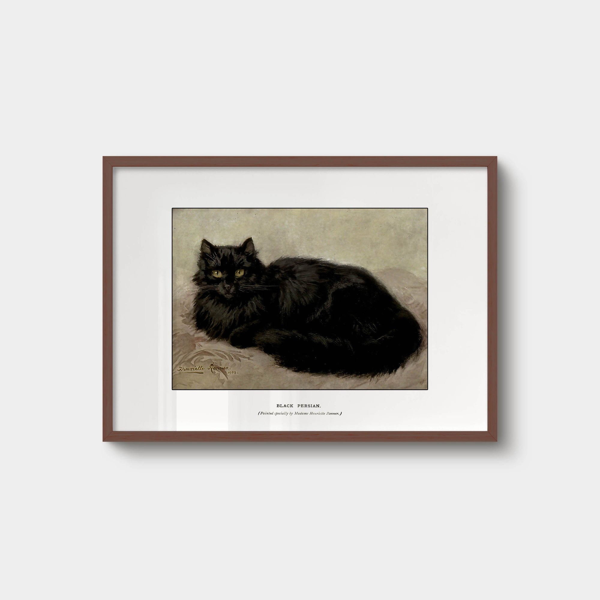 016. Black Persian Cat Print