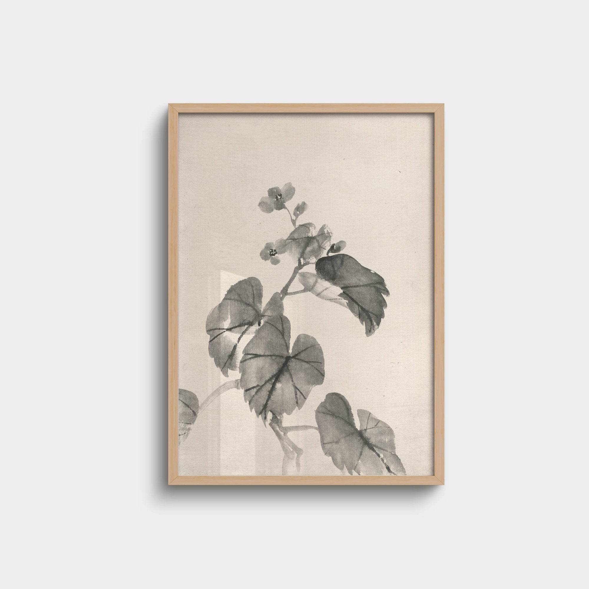 007. Begonia Branch Print