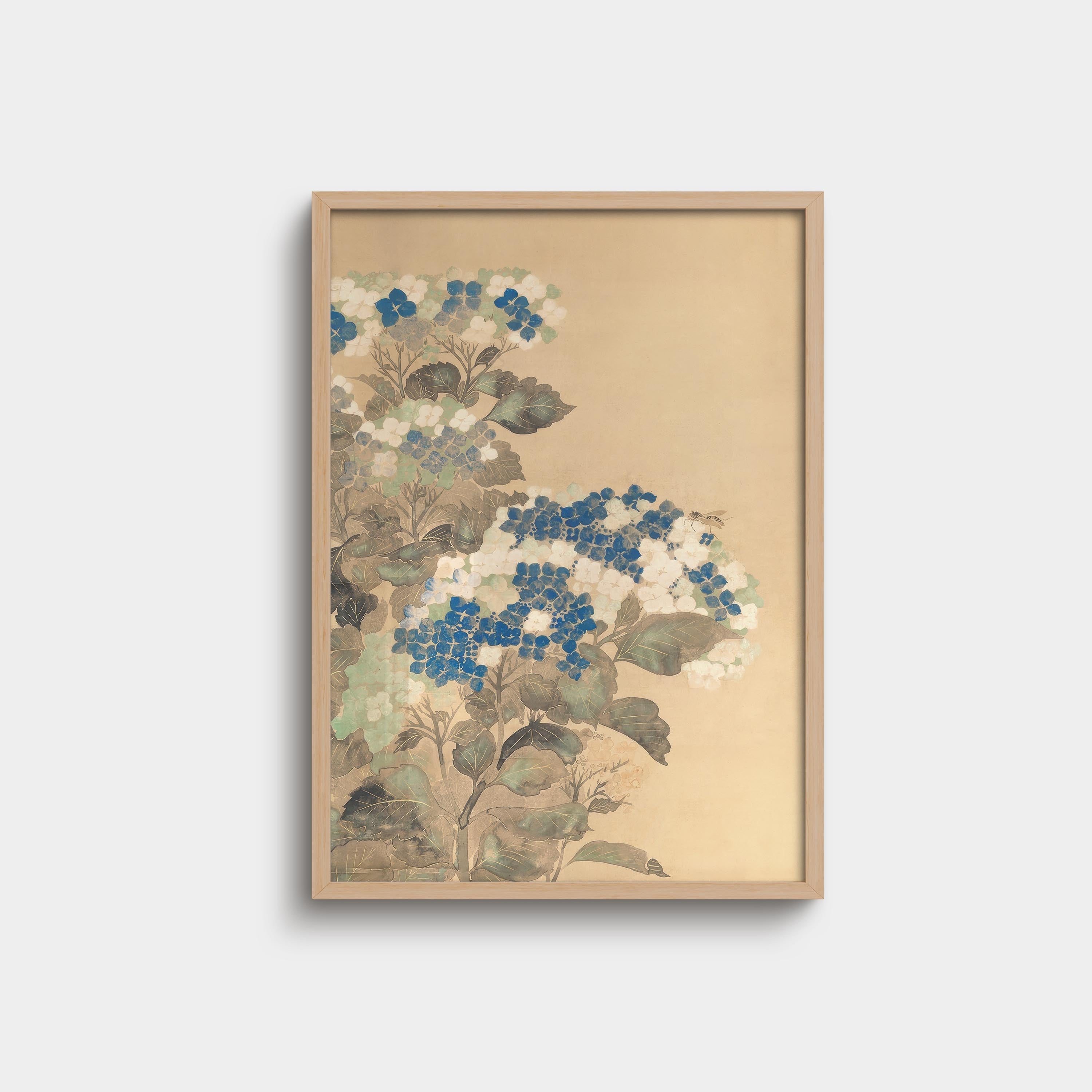 Botanical Art – Talo Archive