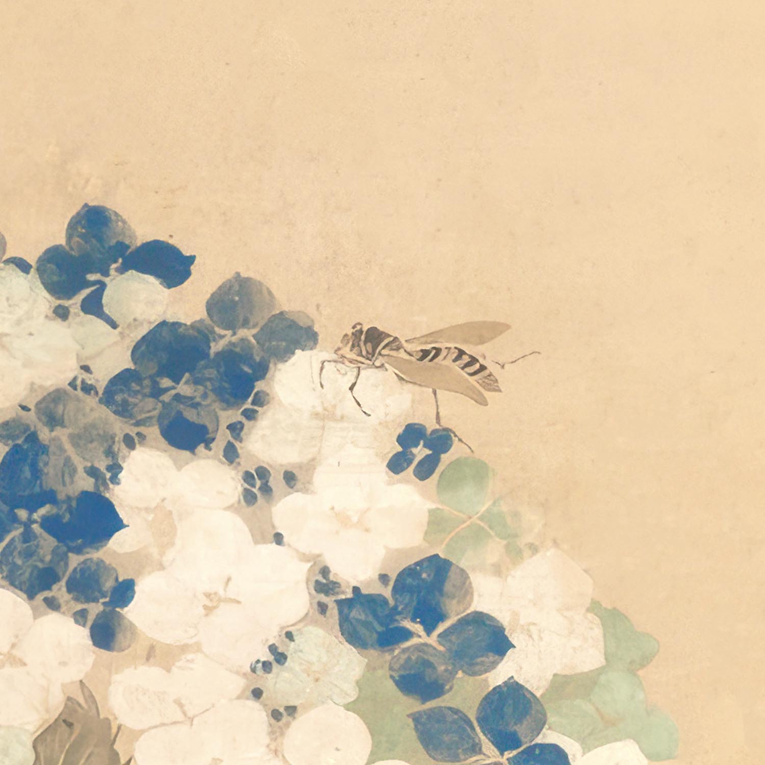 046. Hydrangea Print