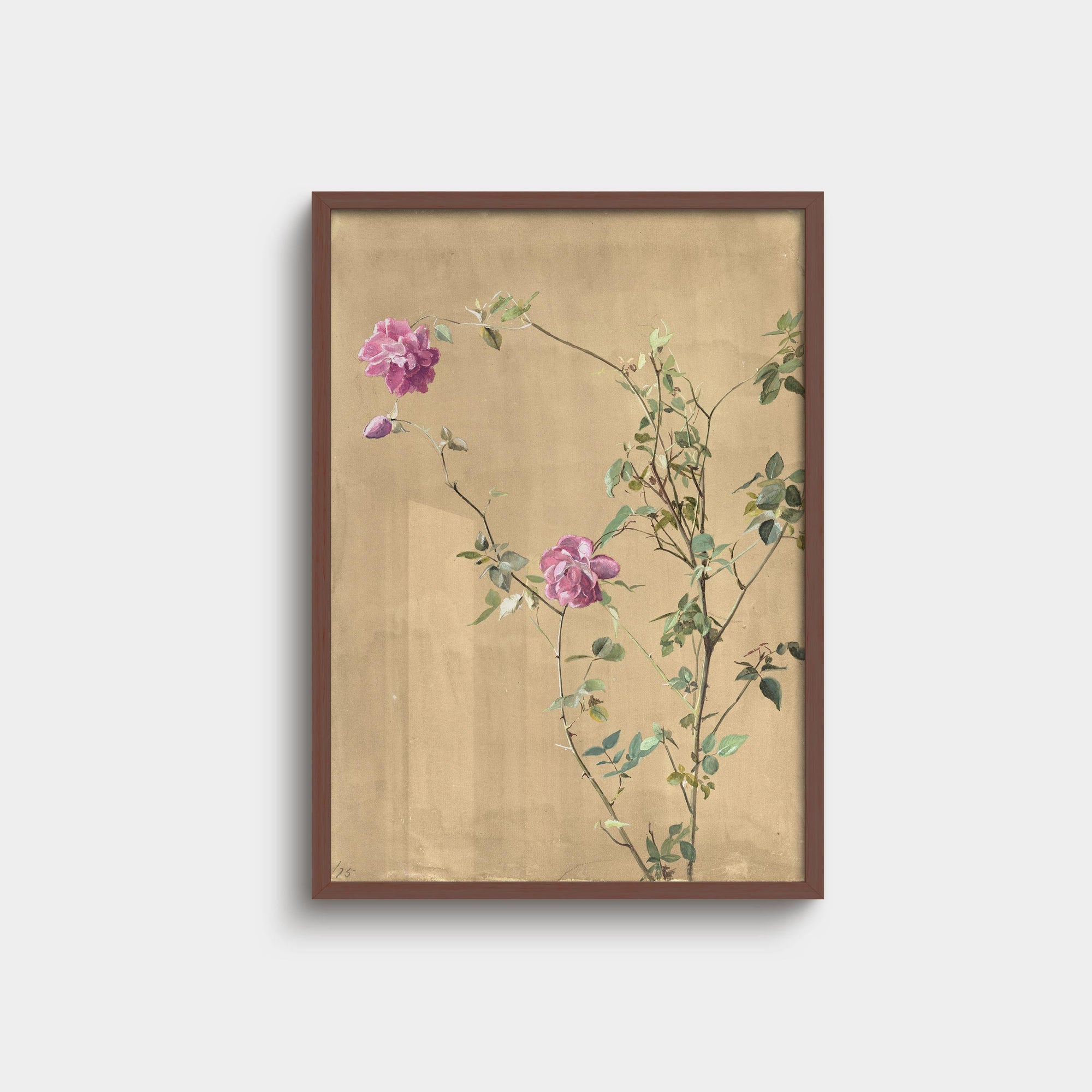 019. Rose Print
