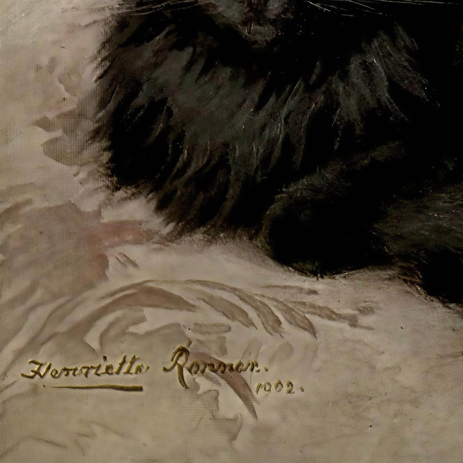 016. Black Persian Cat Print