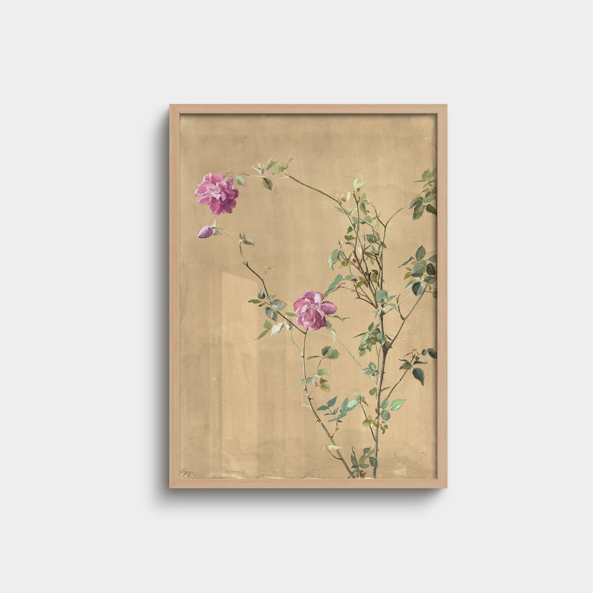 019. Rose Print