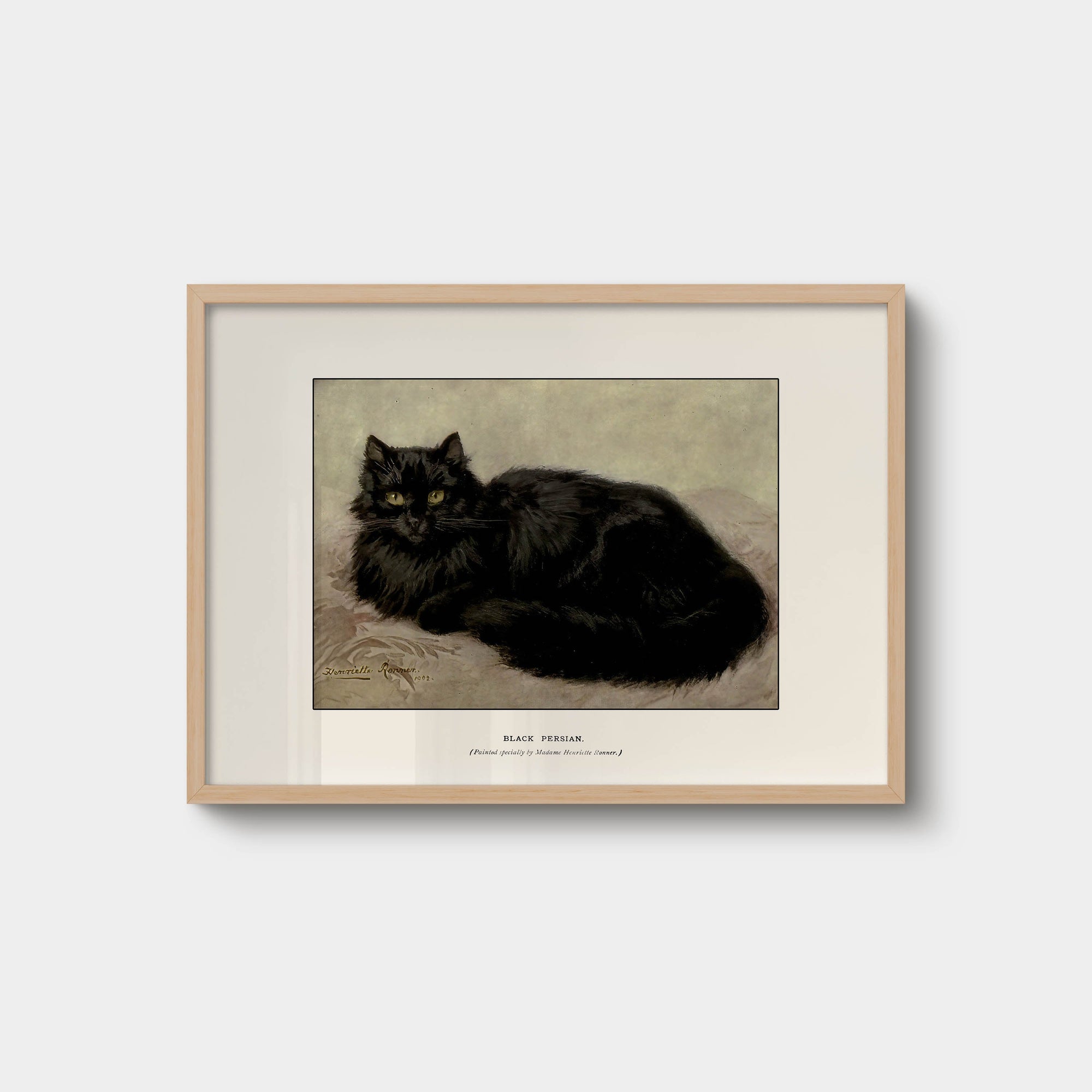 016. Black Persian Cat Print